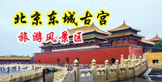 大鸡巴插逼视频网站中国北京-东城古宫旅游风景区