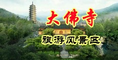 能看美女鸡巴的网站中国浙江-新昌大佛寺旅游风景区